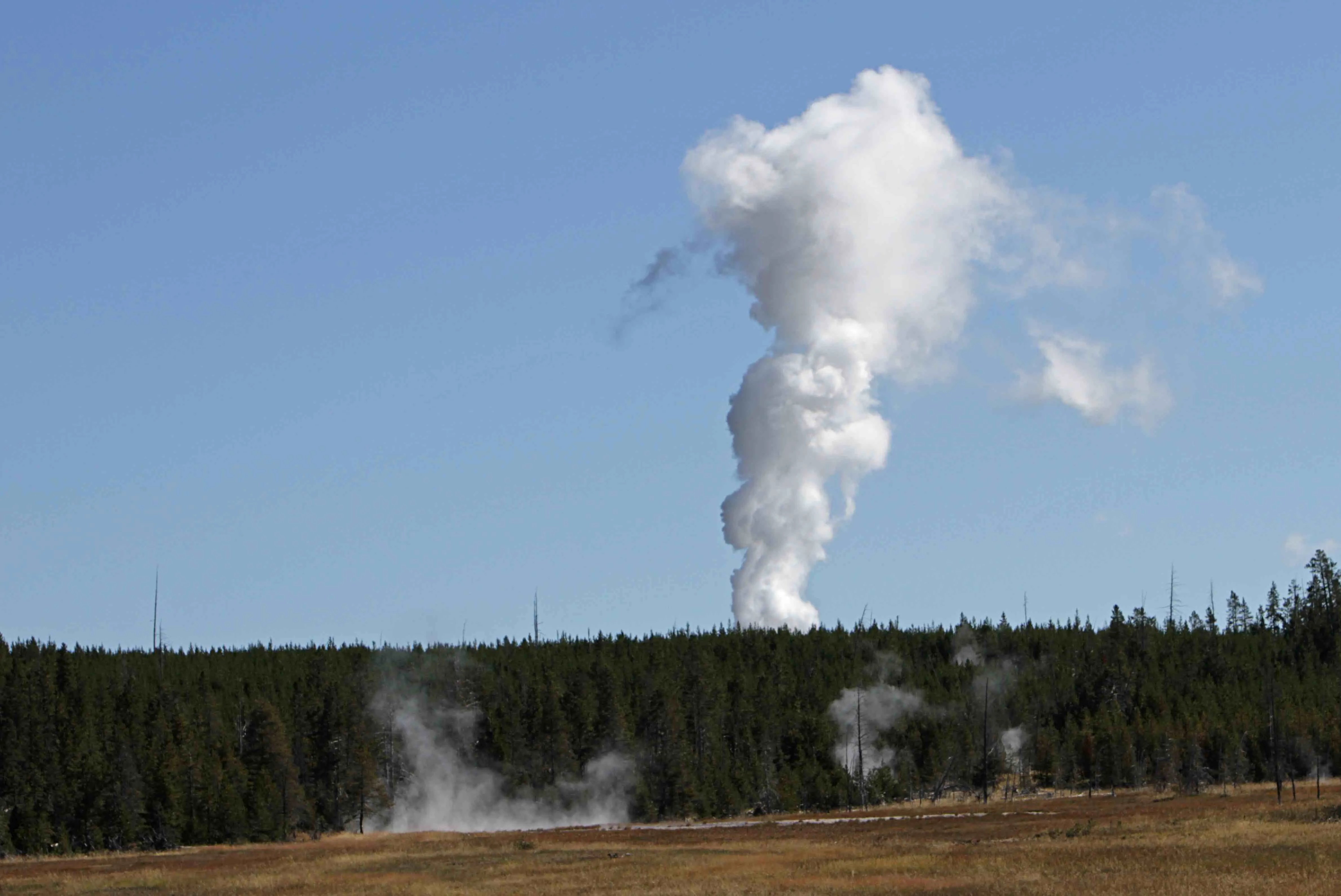 Steamboat Geyser erupting in Yellowstone's Norris Basin