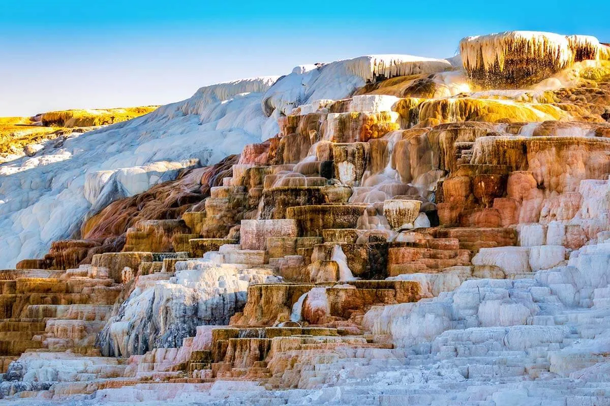 Mammoth Hot Springs terraces with limestone formations at Yellowstone