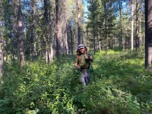 Overgrown trail in the Idaho section of Yellowstone showing how rarely this area is visited