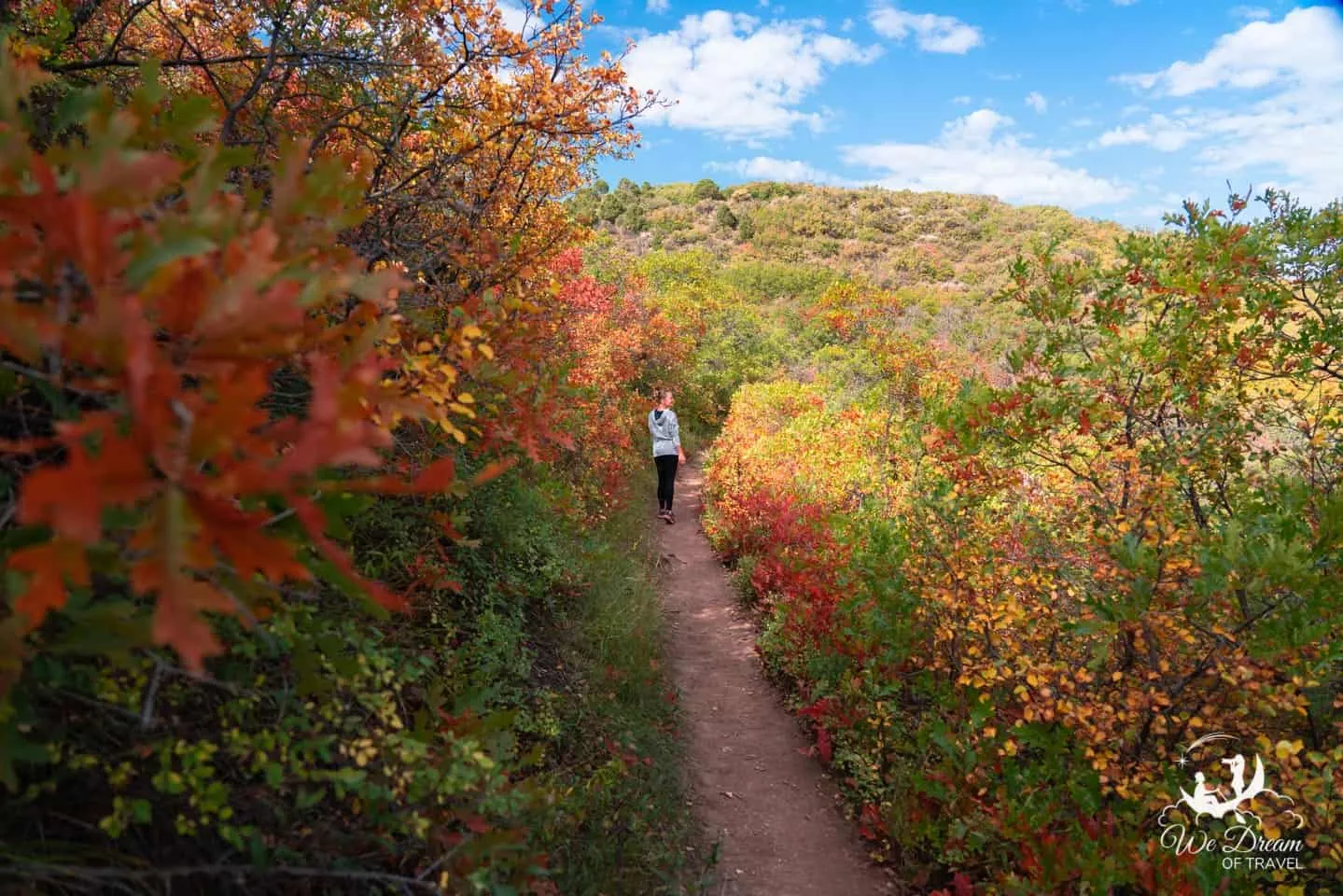 Black Canyon of the Gunnison fall colors and autumn hiking