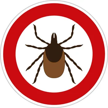 post-Acadia National Park Wildlife Safety Tips