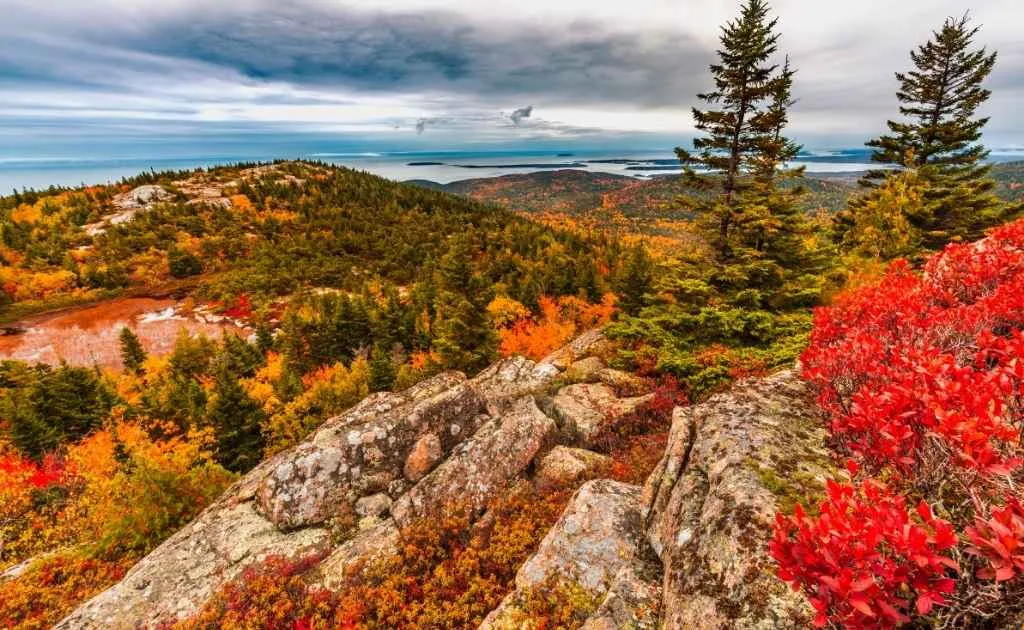 post-Ultimate Acadia National Park Fall Itinerary: Expert Guide to Maine's Autumn Paradise (2025)