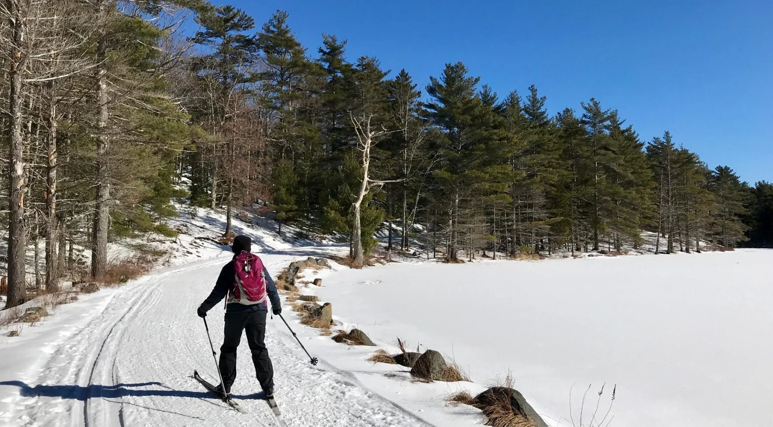 post-Acadia National Park in Winter: Your Complete Guide to Maine's Frozen Paradise