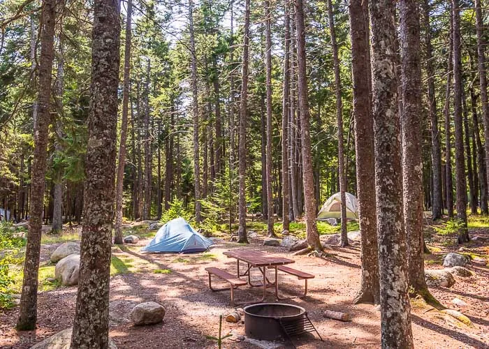 post-Private vs Public Campgrounds Acadia: Complete Guide for Your 2025 Adventure