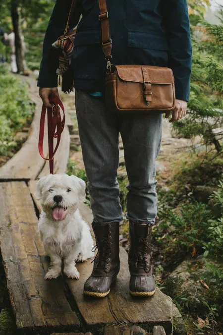 post-Pet-Friendly Trails in Acadia National Park: The Complete Guide for Hiking with Dogs (2025)