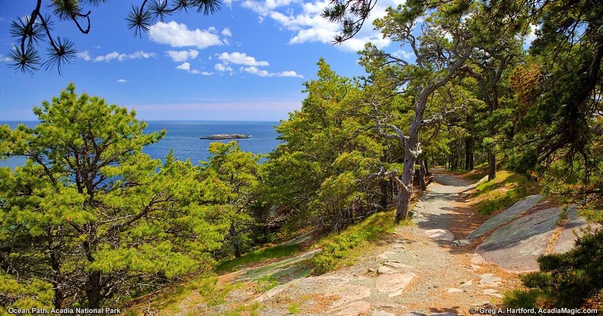 post-The Ultimate Ocean Path Trail Guide: Exploring Acadia's Scenic Coastal Route