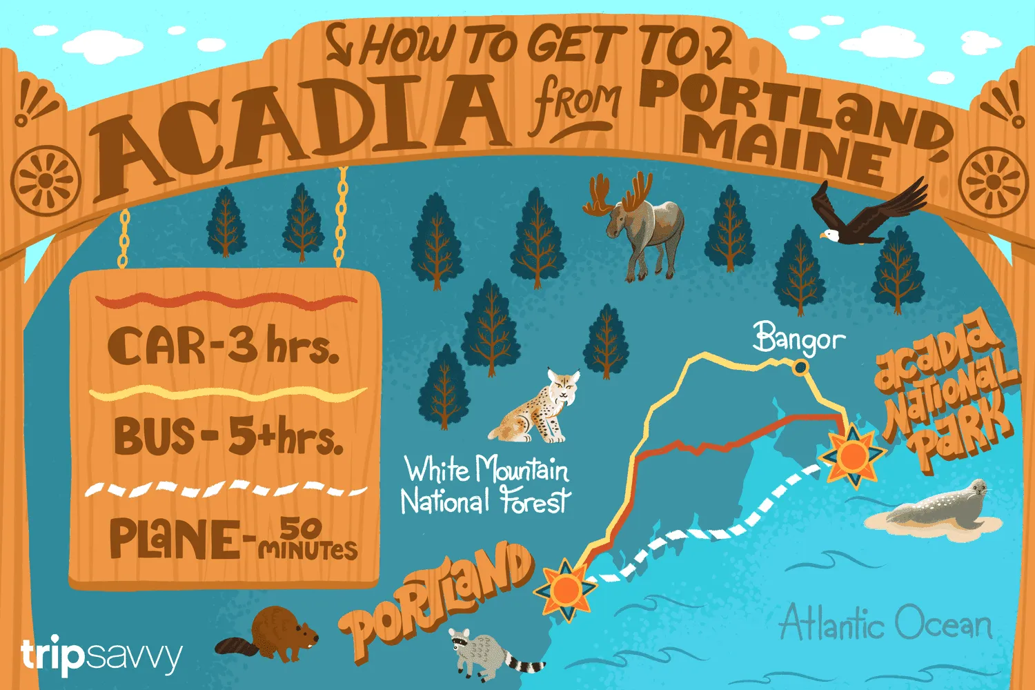 post-How to Get to Acadia National Park from Portland Maine: The Ultimate Guide (2025)