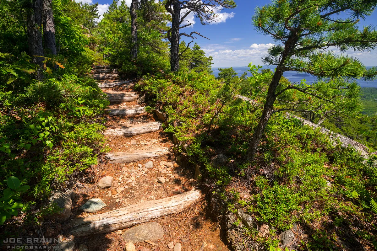 post-The Ultimate Guide to Dorr Mountain Trail