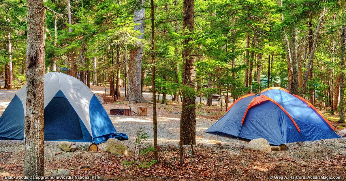 post-The Ultimate Guide to Camping Spots Around Lake Acadia in 2025