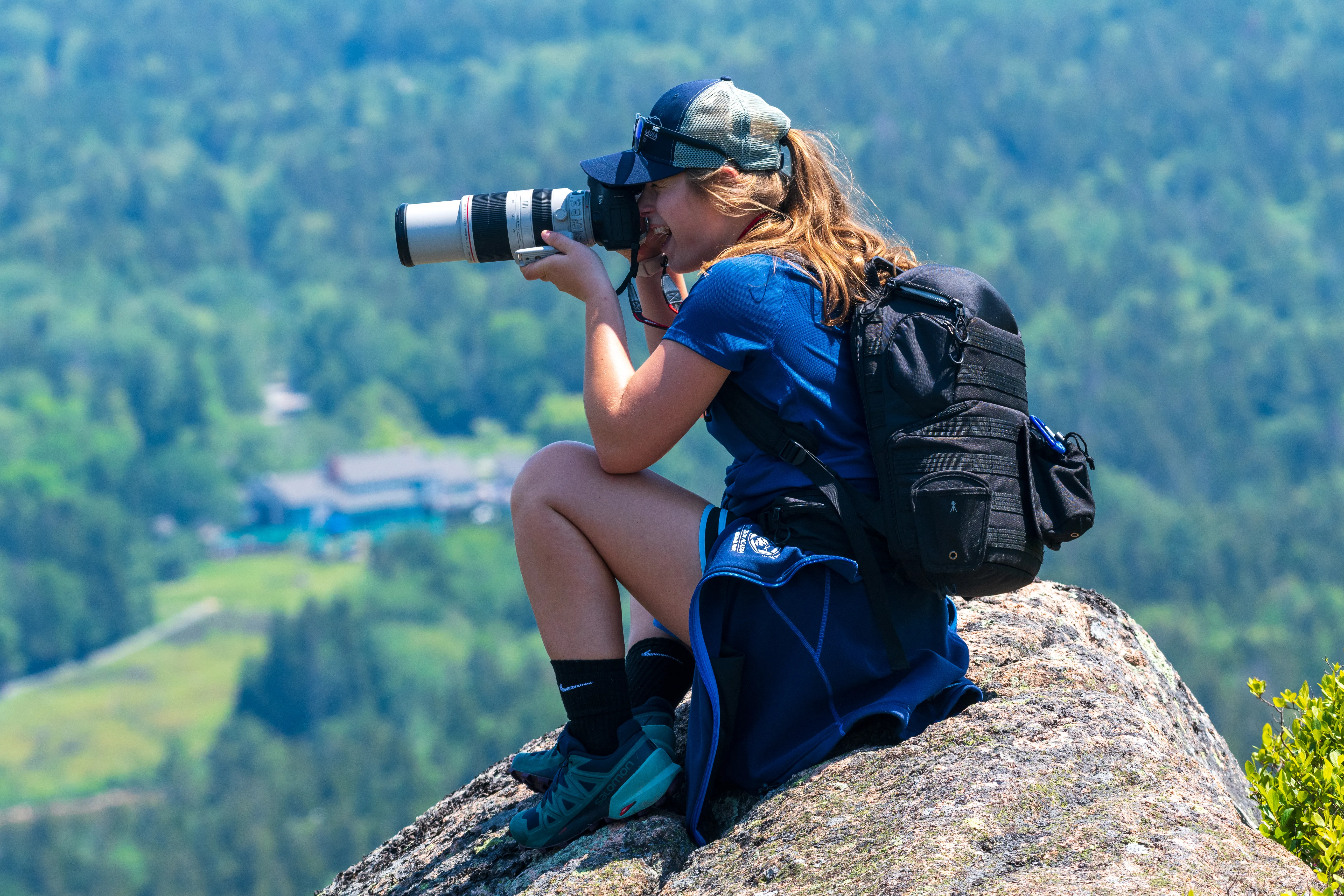 post-Best Spots to See Wildlife in Acadia: Your Complete Guide to Animal Encounters