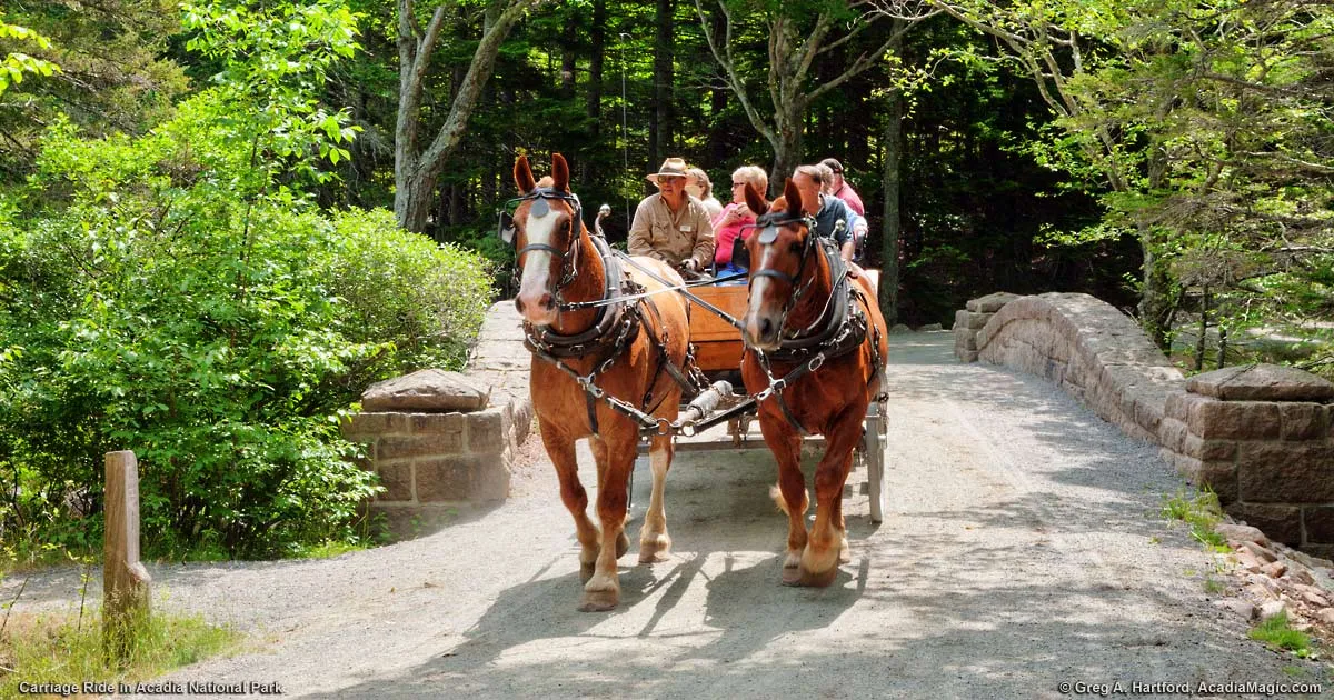 post-Best Horseback Riding Trails in Acadia National Park: Your Complete Guide (2025)