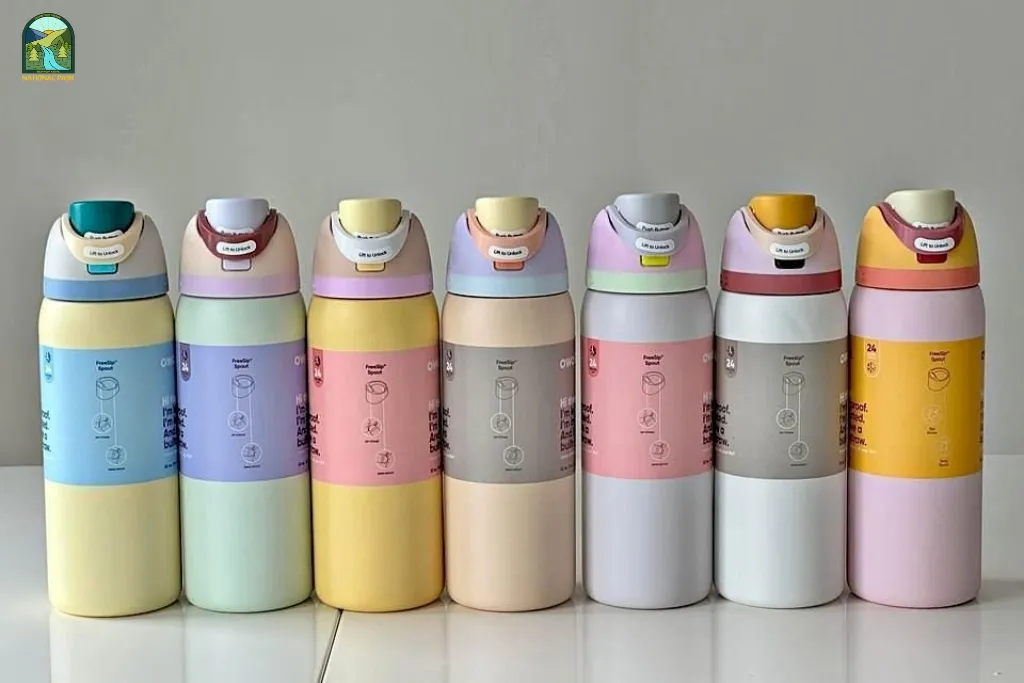post-Best Gym Drink Bottle: Ultimate Guide to Hydration During Workouts in 2025