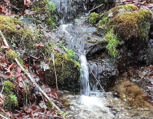 post-Best Spring Water: The Ultimate Guide to Premium Natural Bottled Water in 2025