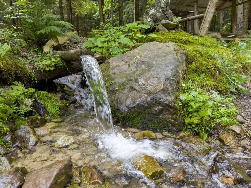 post-Top Rated Spring Water: Complete Guide to the Best Premium Bottled Waters in 2025