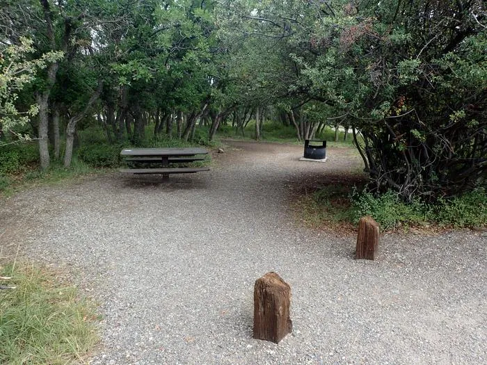 Well-equipped campsite at Black Canyon of the Gunnison showing picnic table and fire ring setup