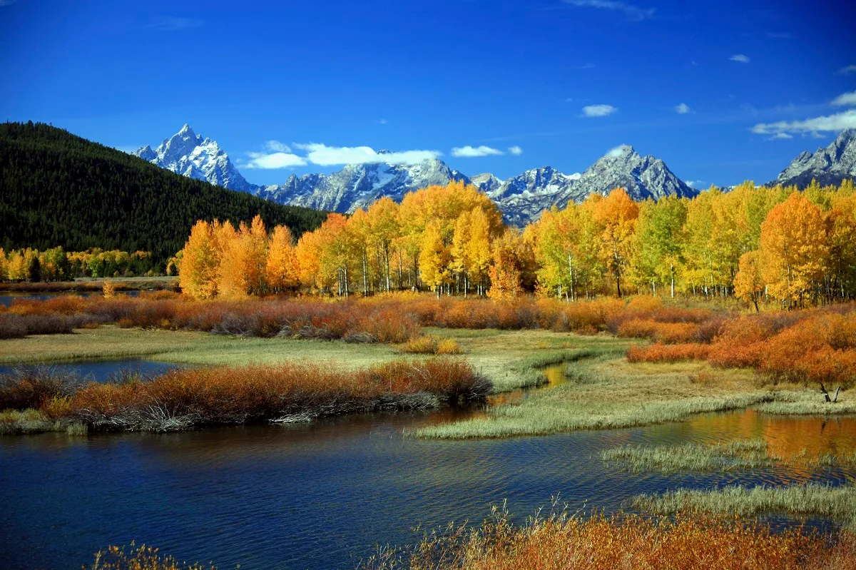 Yellowstone National Park in autumn with golden fall colors