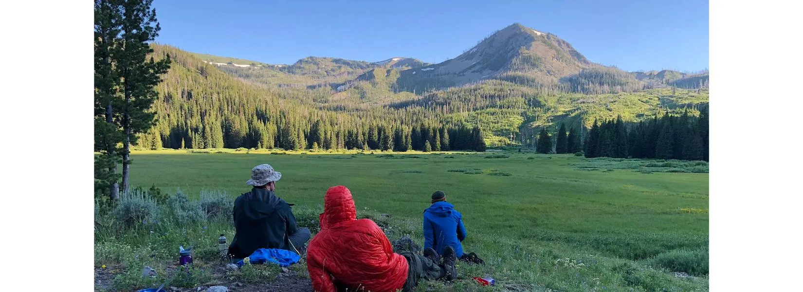 Yellowstone National Park landscape in August showing pristine wilderness and clear blue skies