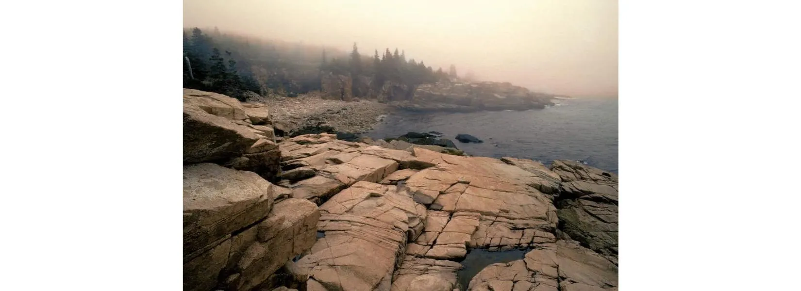 Foggy weather conditions in Acadia National Park requiring proper gear preparation